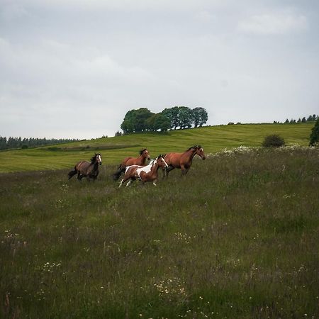 Wohlfuehl-Ferienhaus Eifel-Landurlaub Mit Herz Dahlem  Buitenkant foto